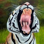 Yawning Tiger (Oil Painting)