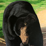 Sloth Bear (Acrylic Painting)